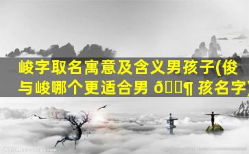 峻字取名寓意及含义男孩子(俊与峻哪个更适合男 🐶 孩名字)